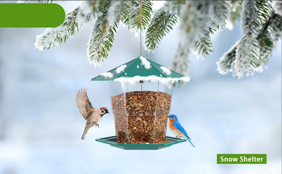 Small Squirrel Proof Bird Feeder - Green, 3LB Capacity 5 snow shelter winter small bird feeder