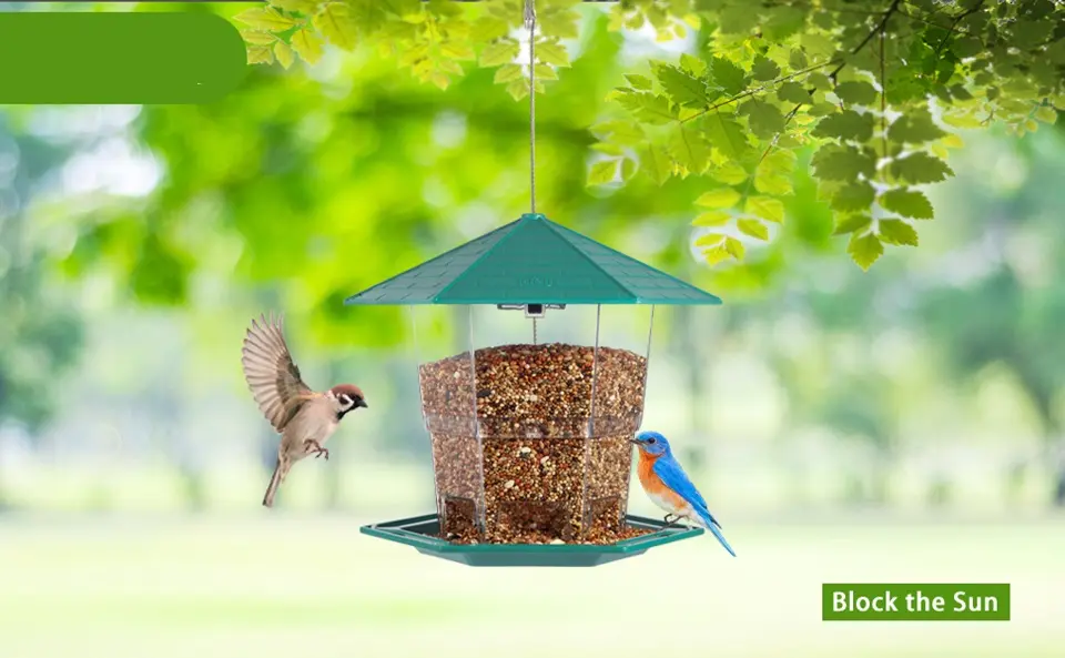 Small Squirrel Proof Bird Feeder - Green, 3LB Capacity 3 sun protection hanging small bird feeder